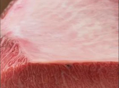 Marbled otoro belly