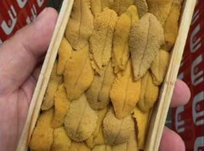 Uni in a wooden box at Toyosu