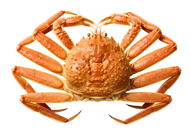 Crab