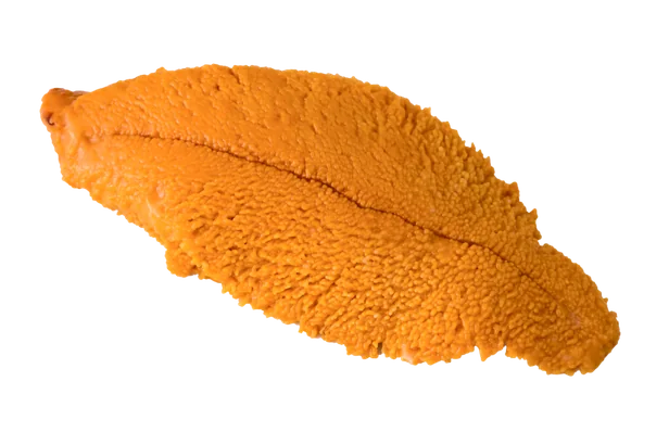 Uni