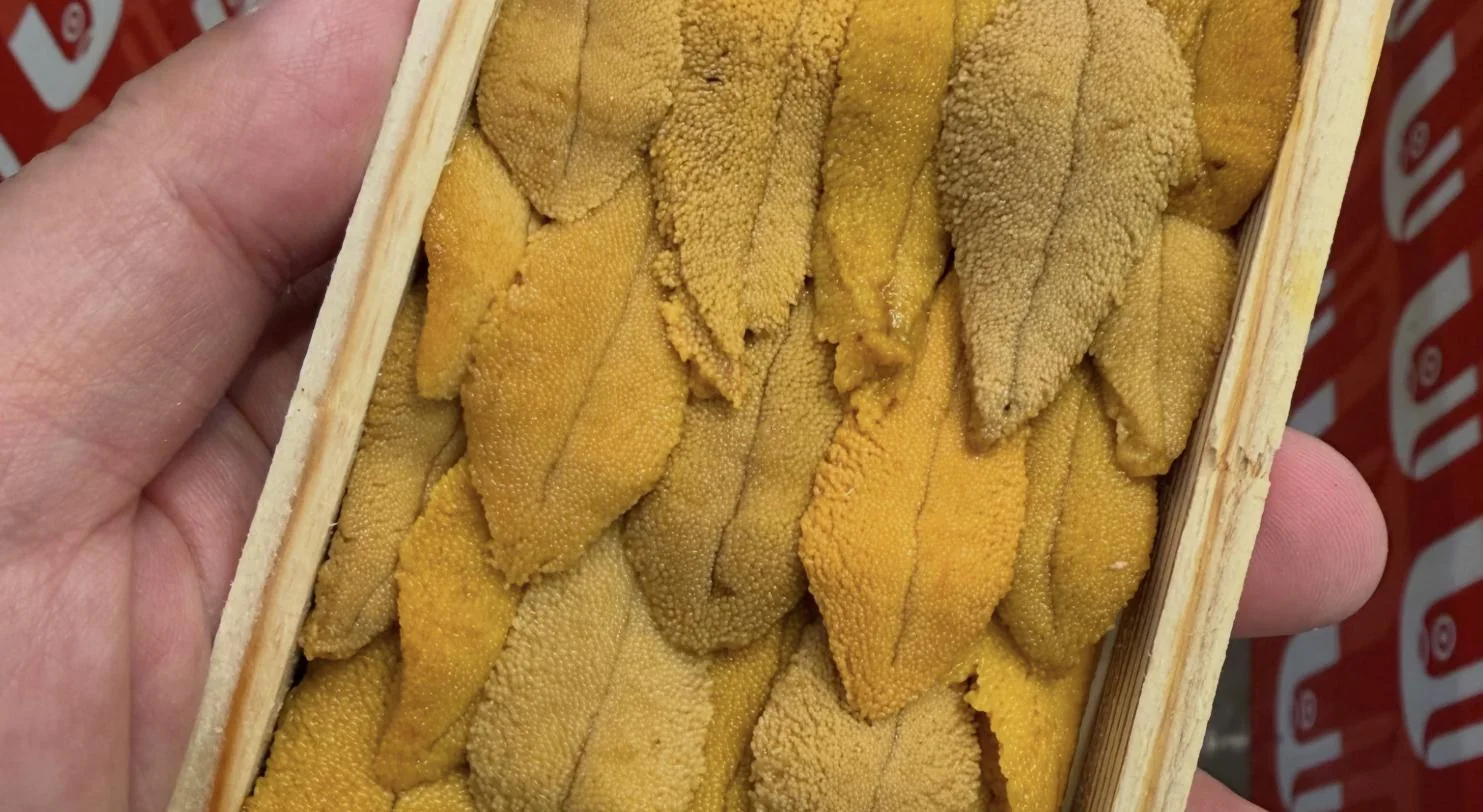 Uni graded into a wooden box at Toyosu