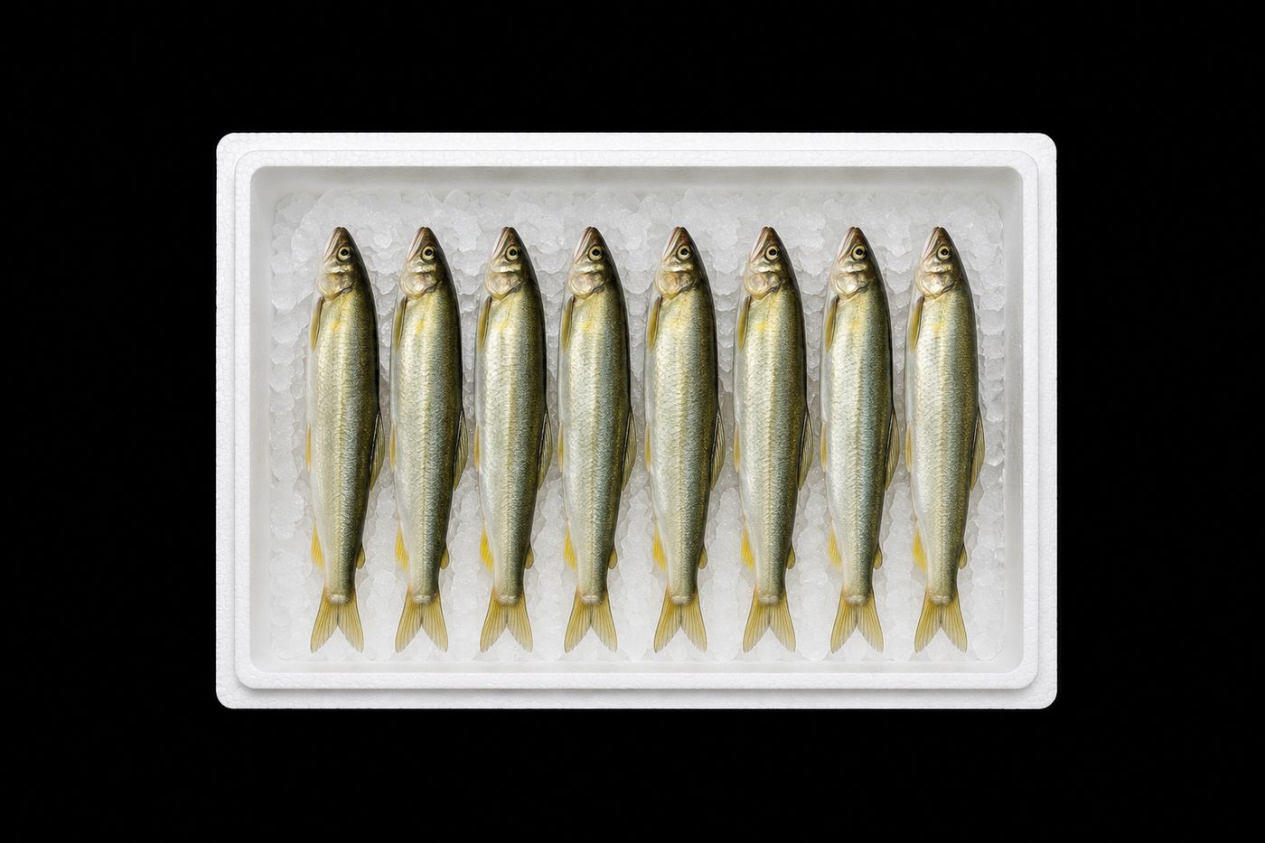 Ayu – Sweetfish