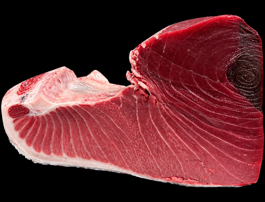 Hon-maguro, farmed – Bluefin tuna, farmed