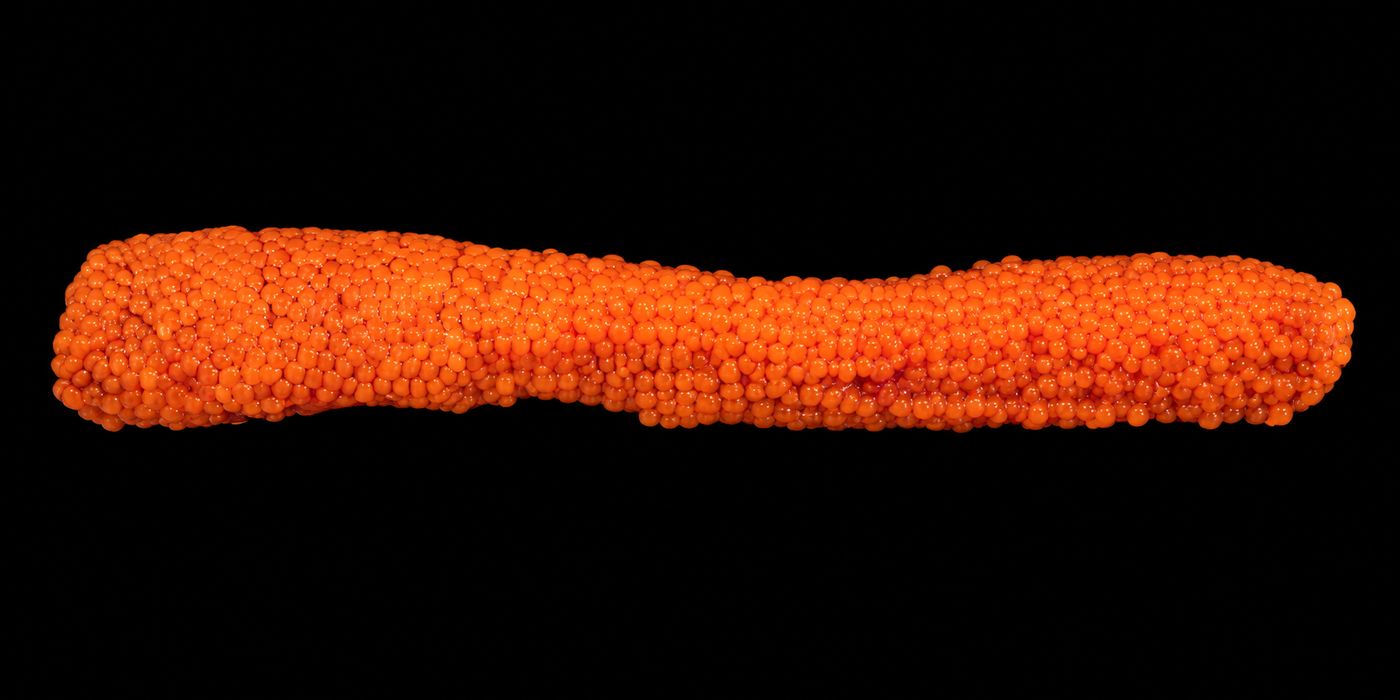 Sujiko – Salmon roe skein